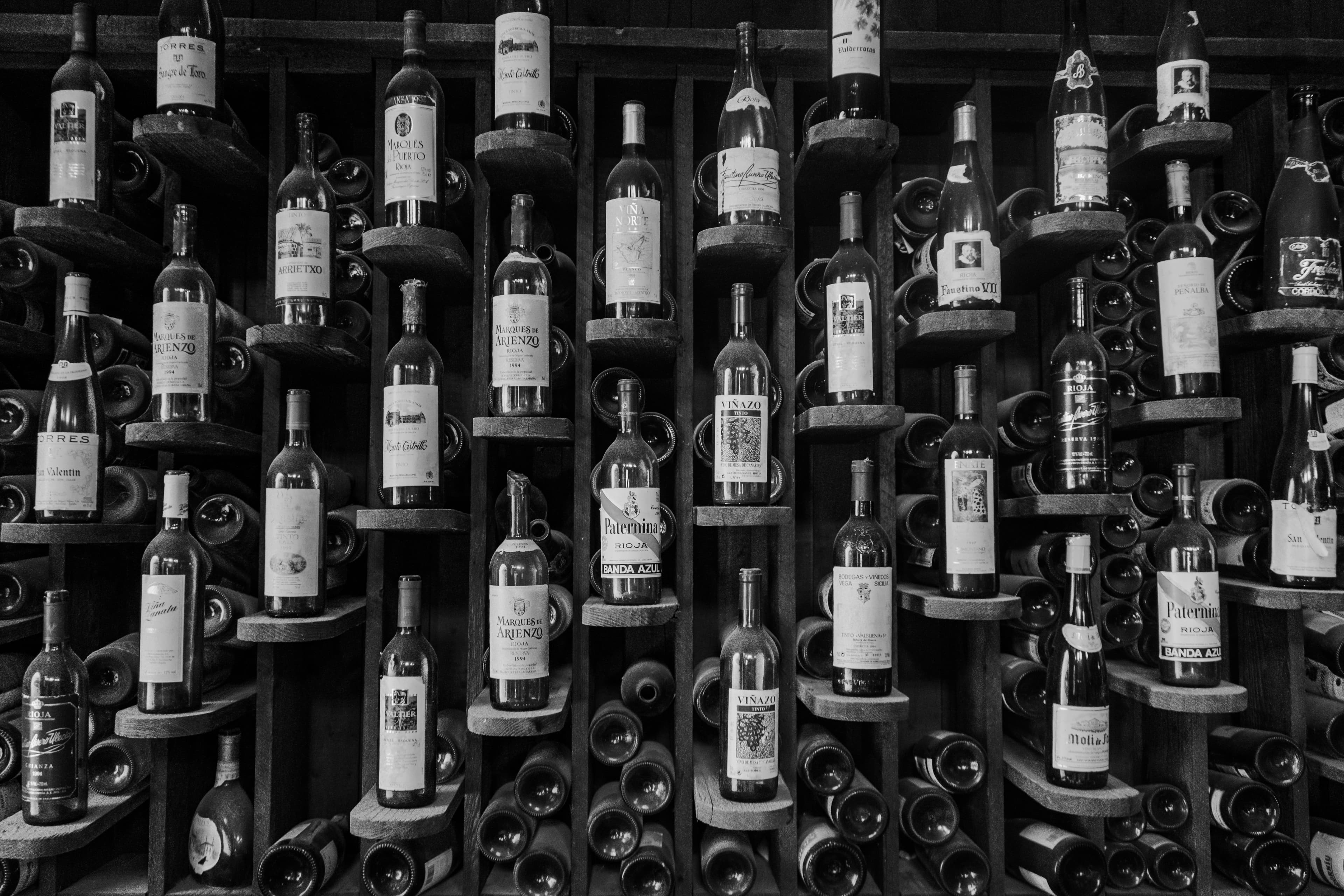 A row of wine bottles along a cellar shelf